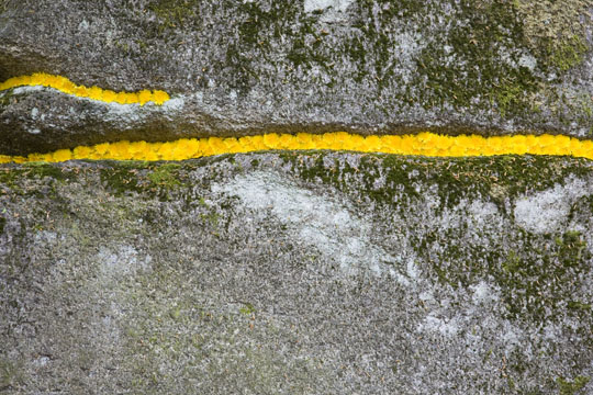 Haiku aus Schnee auf Stein