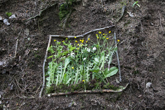 Naturbild imn Rahmen mit Blumen