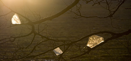 tobiasott - photographie kunst mediendesign
