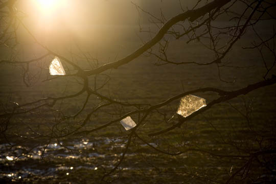 Landart Fotografie mit Eis