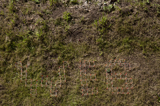 WEG - typografische Naturkunst